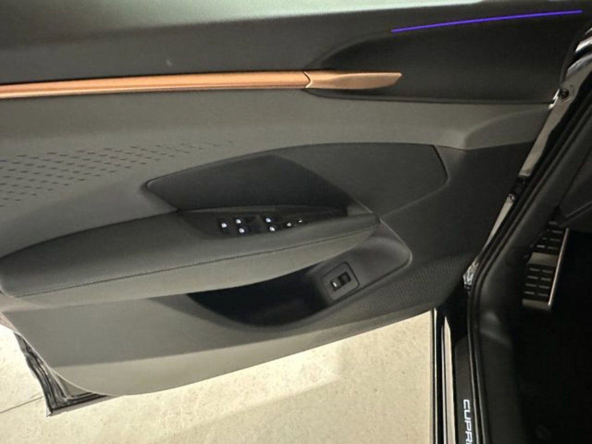 Cupra Terramar 1.5 hybrid 150cv dsg (19)