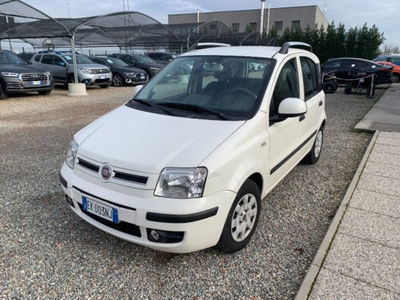 Fiat Panda 1.2 Dynamic usata