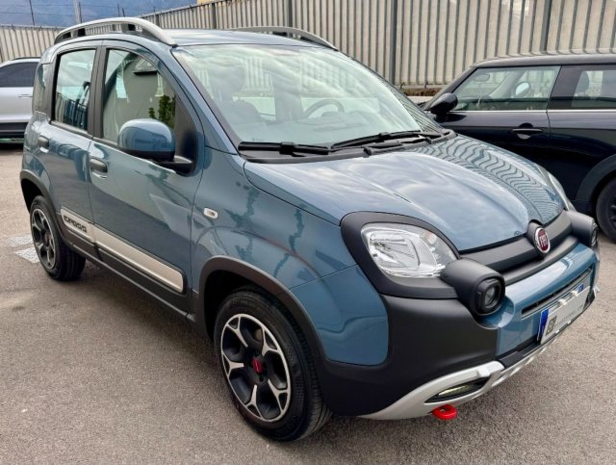 Fiat Panda Cross Cross 0.9 TwinAir Turbo Natural Power (5)