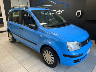Fiat Panda 1.2 Dynamic usata