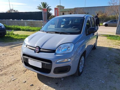 Fiat Panda 1.0 firefly hybrid s&s 70cv 5p.ti usata
