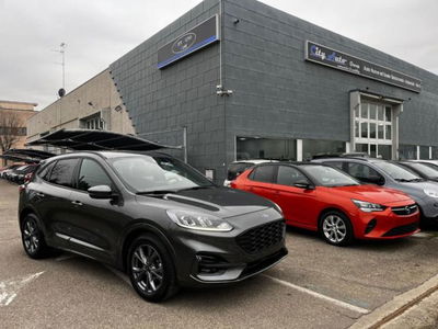 Ford Kuga 2.0 EcoBlue 120 CV aut. 2WD ST-Line X usata
