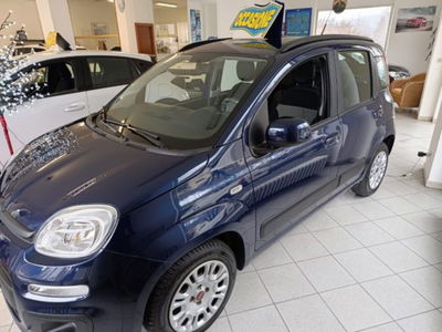 Fiat Panda 1.2 Lounge usata