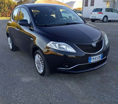 Lancia Ypsilon 1.2 69 CV 5 porte Silver usata
