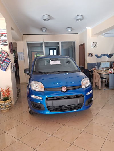 Fiat Panda 1.0 firefly hybrid Icon s&s 70cv nuova