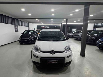 Fiat Panda 1.0 FireFly S&S Hybrid City Life usata