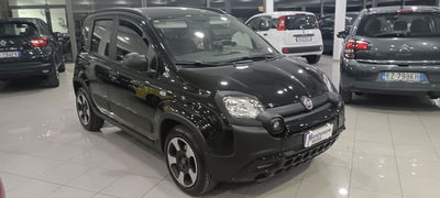 Fiat Panda 1.0 FireFly S&S Hybrid City Cross usata
