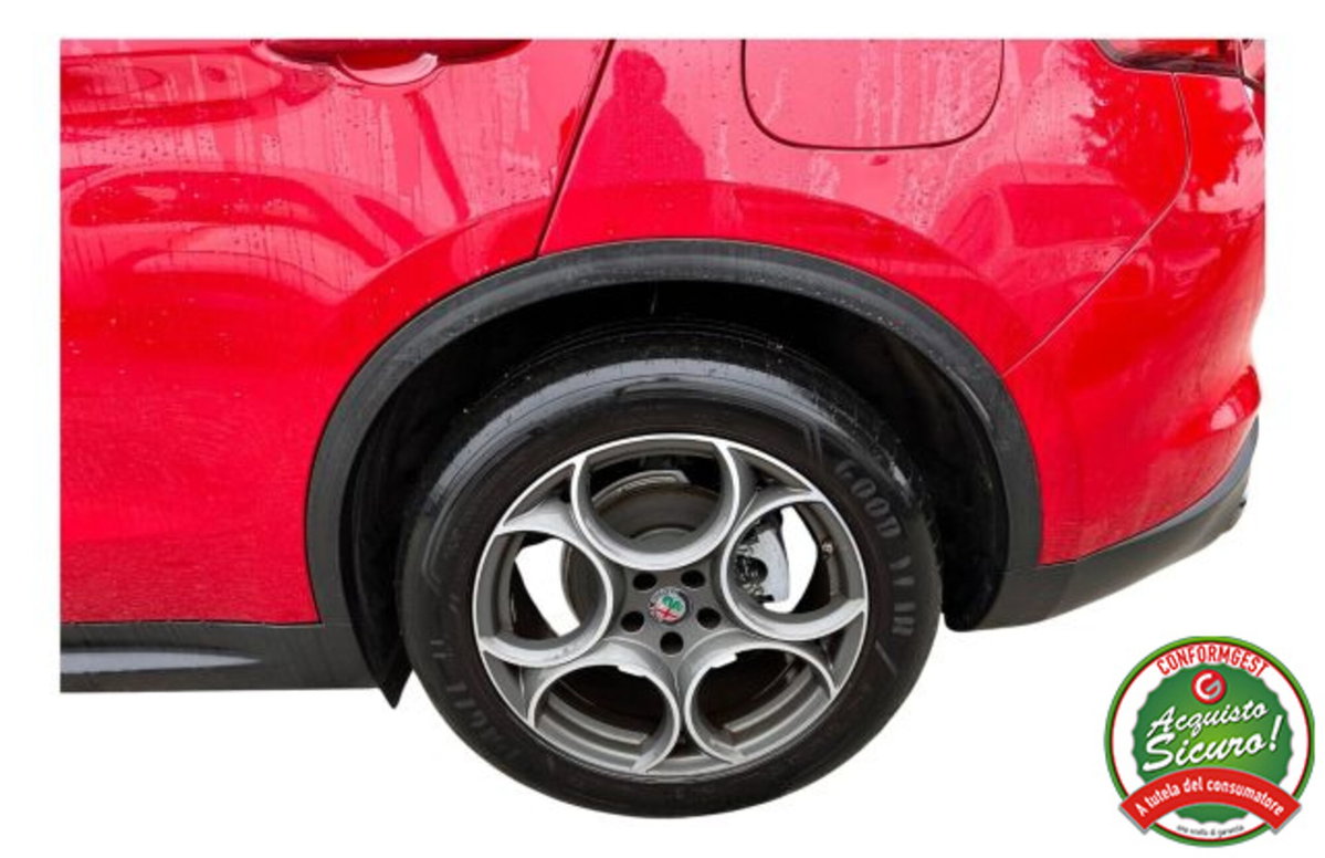 Alfa Romeo Stelvio Stelvio 2.2 Turbodiesel 160 CV AT8 RWD Sport-Tech (6)
