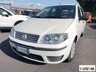 Fiat Punto Classic 1.3 MJT 5 porte Active usata