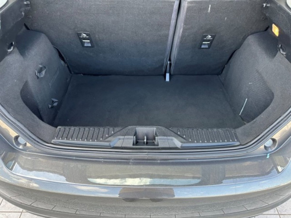 Ford Fiesta 1.5 TDCi 5 porte Plus (14)