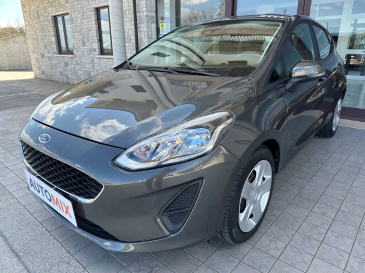 Ford Fiesta 1.5 TDCi 5 porte Plus (5)