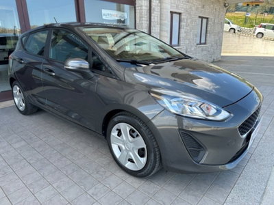Ford Fiesta 1.5 TDCi 5 porte Plus (8)