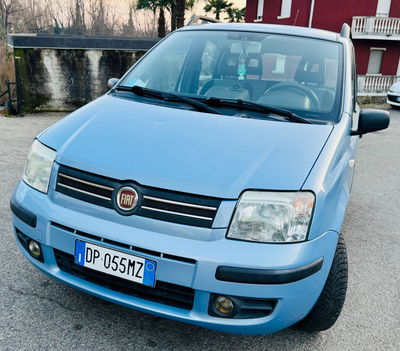 Fiat Panda 1.2 Alessi usata