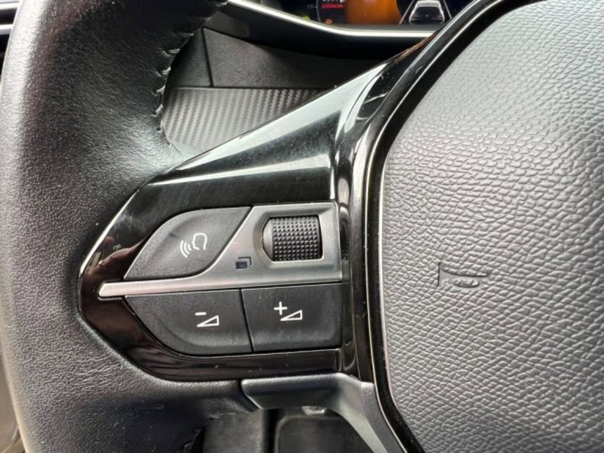 Peugeot 208 BlueHDi 100 Stop&Start 5 porte Allure Pack (20)