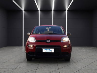 Fiat Panda 1.0 firefly hybrid s&s 70cv 5p.ti usata