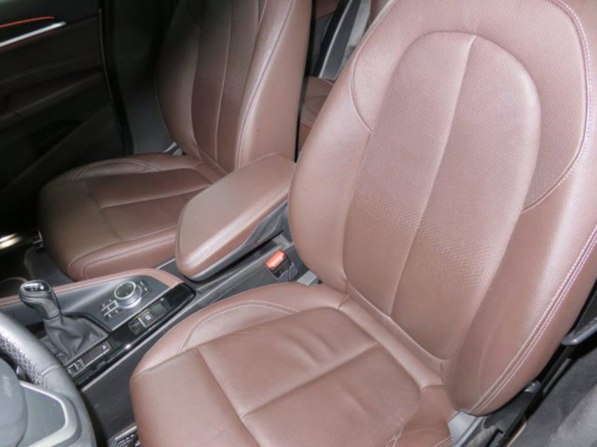BMW X1 xDrive18d xLine Plus (8)