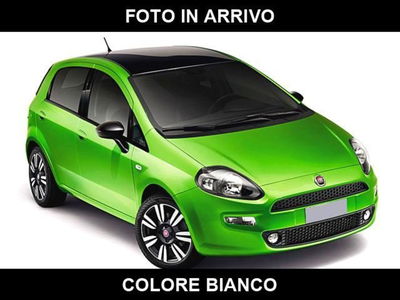 Fiat Punto 1.4 8V 5 porte Natural Power Easy usata
