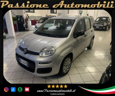 Fiat Panda 1.0 FireFly S&S Hybrid Easy usata