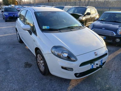 Fiat Punto 1.3 MJT II 75 CV 5 porte Easy