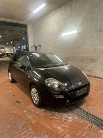 Fiat Punto 1.2 8V 5 porte Lounge usata