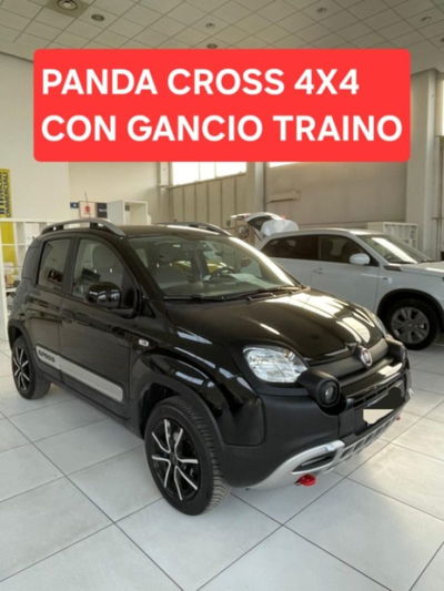 Fiat Panda Cross Cross 0.9 TwinAir Turbo S&S 4x4 usata