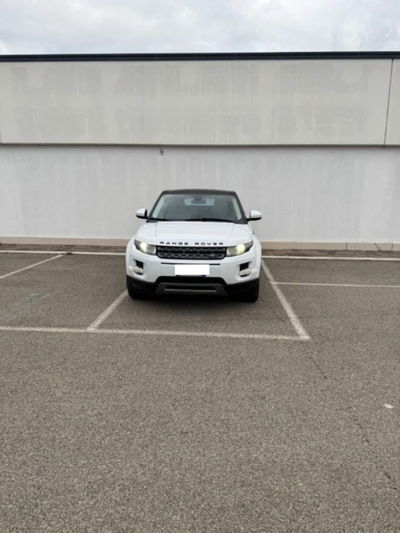 Land Rover Range Rover Evoque 2.2 TD4 5p. Pure usata