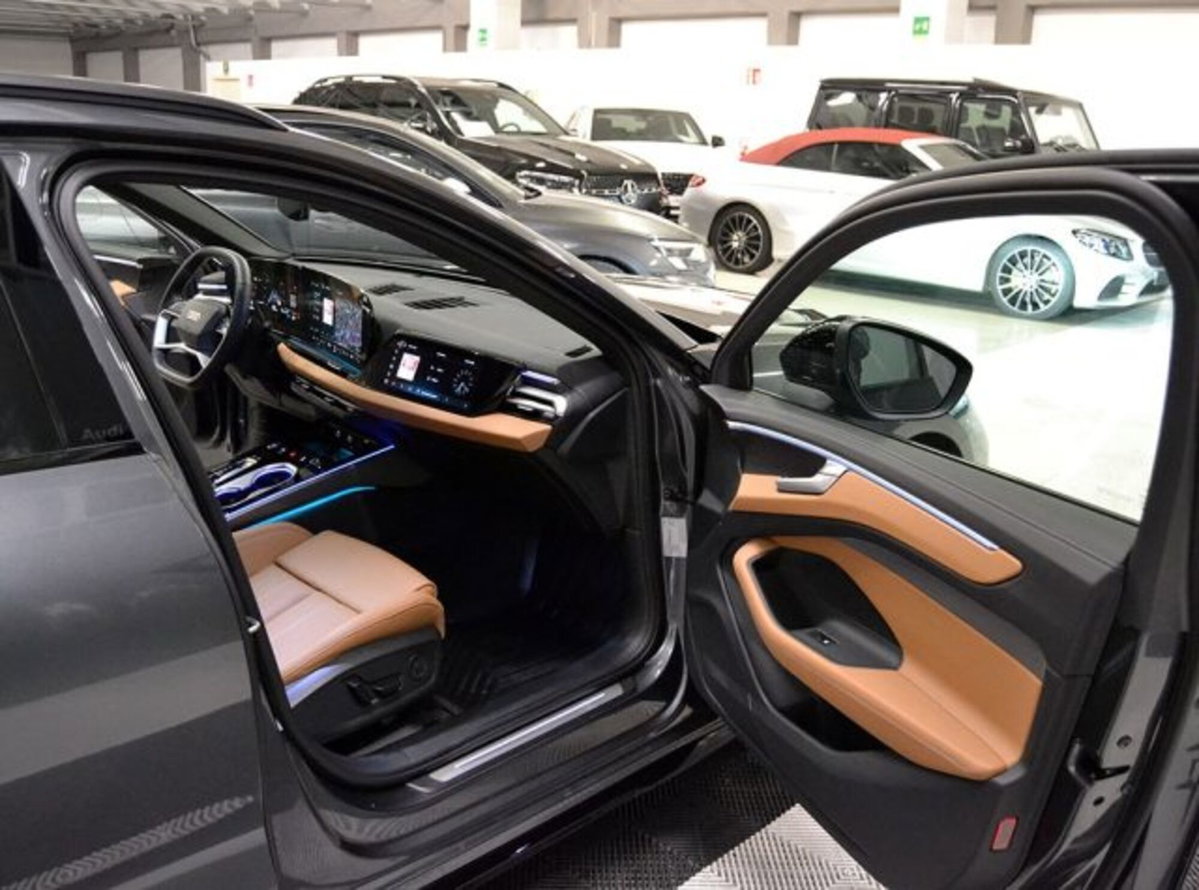 Audi A6 Avant e-Tron performance S line edition 367cv (6)