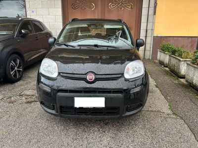 Fiat Panda 1.0 FireFly S&S Hybrid City Cross usata