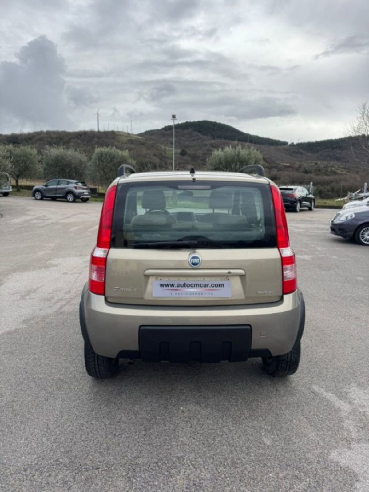 Fiat Panda 1.3 MJT 16V 4x4 Climbing (14)