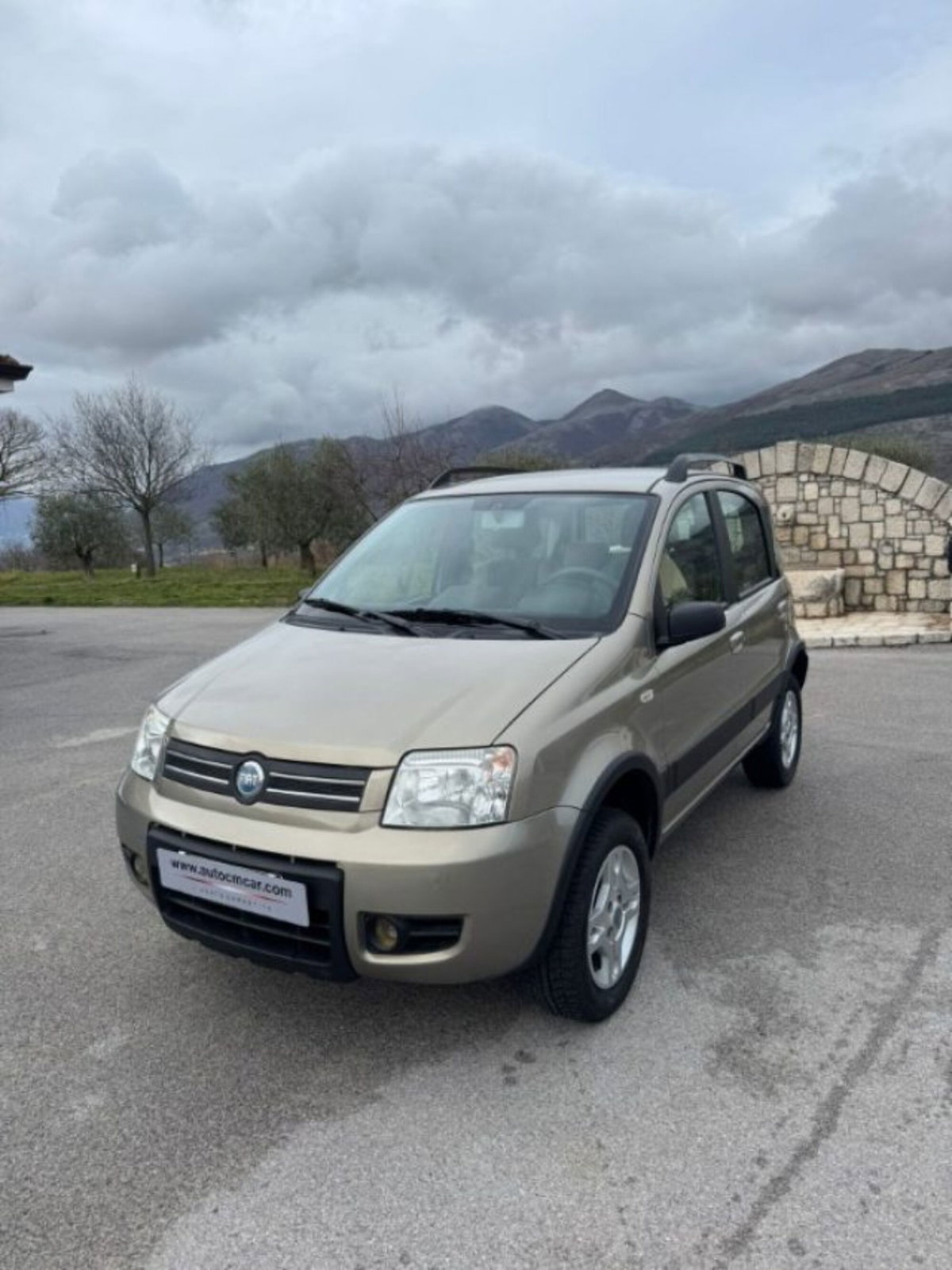 Fiat Panda 1.3 MJT 16V 4x4 Climbing (2)