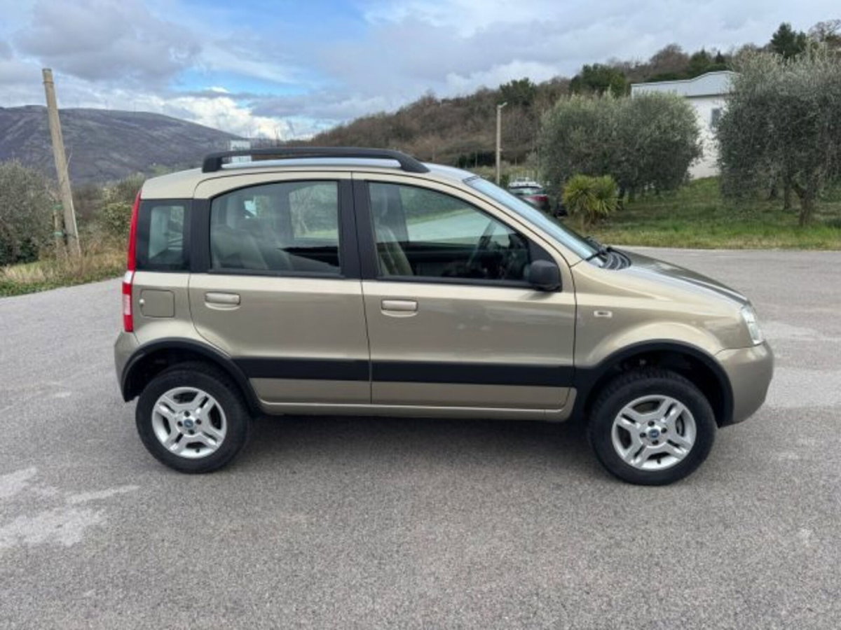 Fiat Panda 1.3 MJT 16V 4x4 Climbing (4)