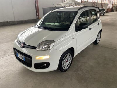 Fiat Panda 1.3 MJT S&S Easy usata