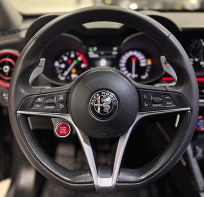 Alfa Romeo Stelvio Stelvio 2.2 Turbodiesel 190 CV AT8 RWD Sprint (14)