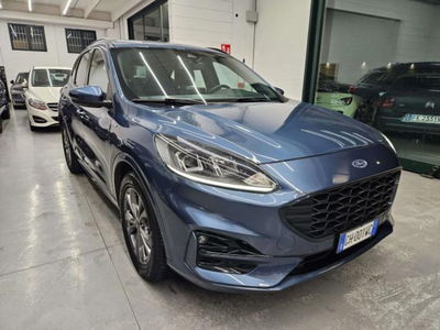 Ford Kuga 1.5 EcoBlue 120 CV aut. 2WD ST-Line X Design usata