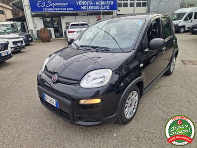 Fiat Panda 1.0 firefly hybrid s&s 70cv 5p.ti usata