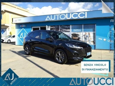 Ford Kuga 1.5 EcoBlue 120 CV 2WD ST-Line usata
