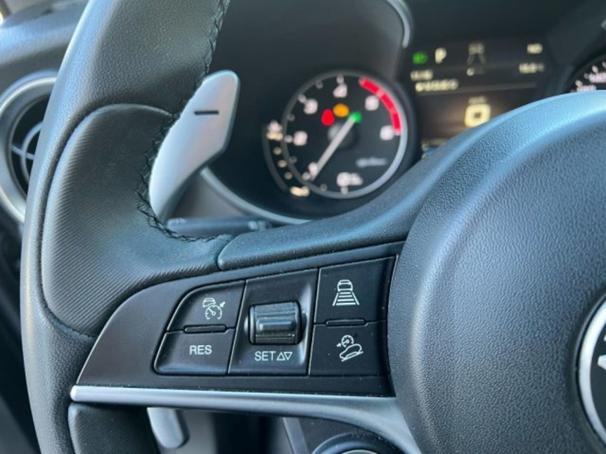 Alfa Romeo Stelvio Stelvio 2.2 Turbodiesel 210 CV AT8 Q4 Super (19)