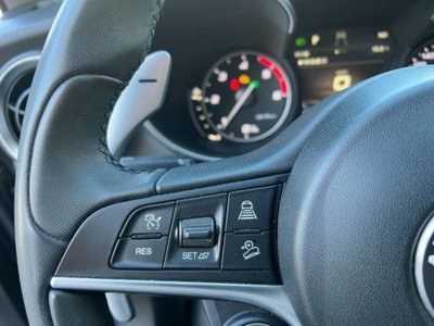 Alfa Romeo Stelvio Stelvio 2.2 Turbodiesel 210 CV AT8 Q4 Super (19)