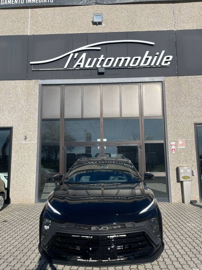 Evo Evo 6 II 1.5 turbo 176cv dct