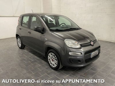 Fiat Panda 1.2 Easy usata