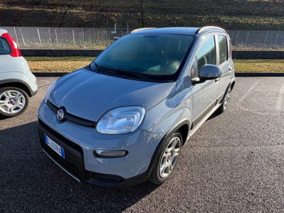 Fiat Panda 1.0 firefly hybrid s&s 70cv 5p.ti usata