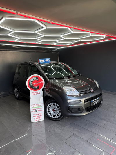 Fiat Panda 1.2 EasyPower Lounge usata