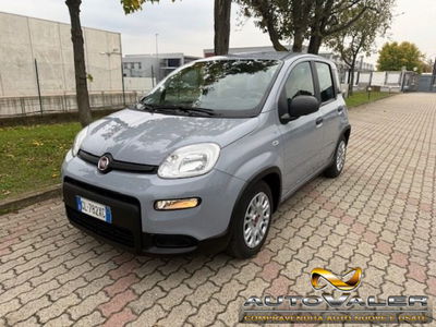 Fiat Panda 1.0 firefly hybrid s&s 70cv usata