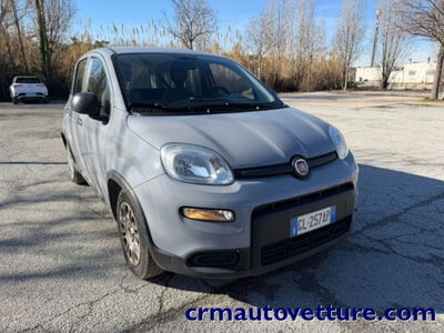 Fiat Panda 1.0 firefly hybrid s&s 70cv 5p.ti usata