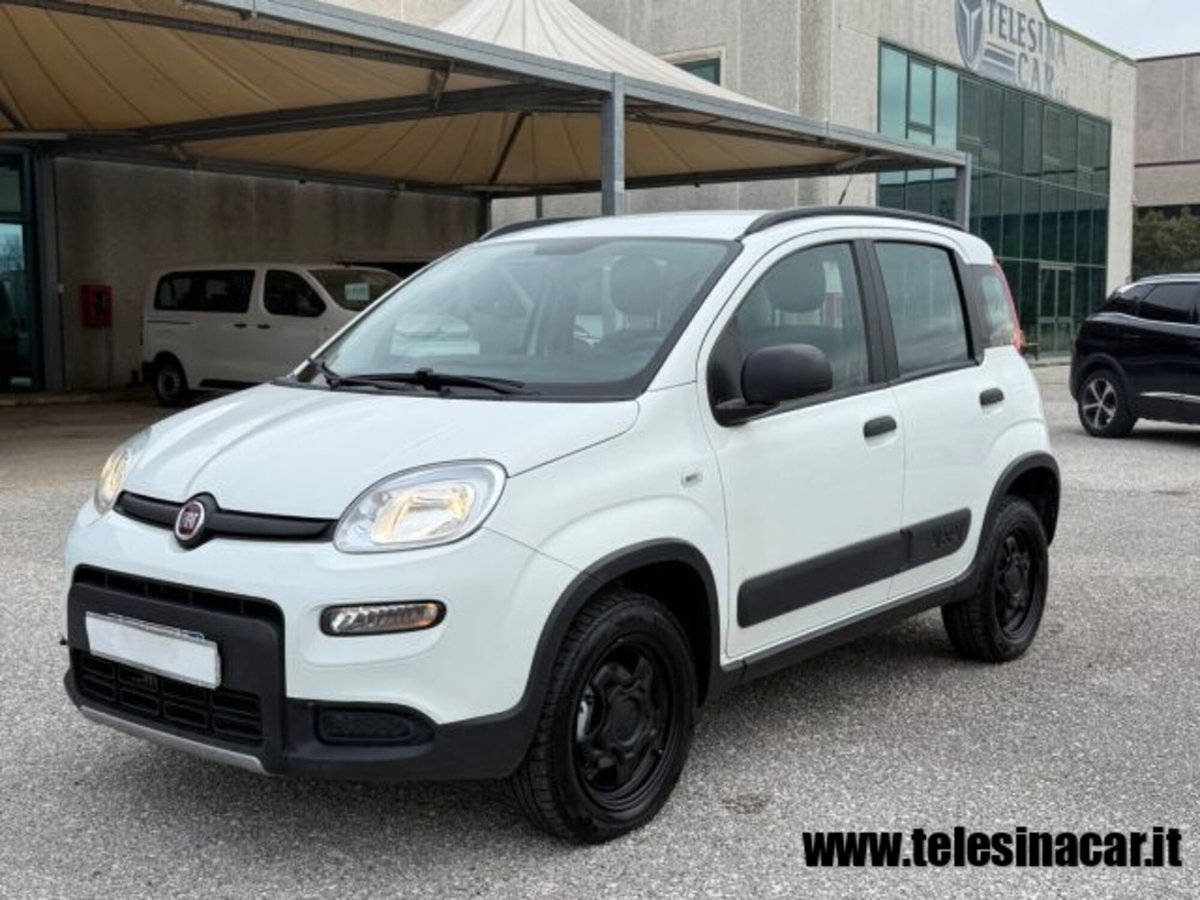 Fiat Panda 0.9 TwinAir Turbo S&S 4x4 (2)