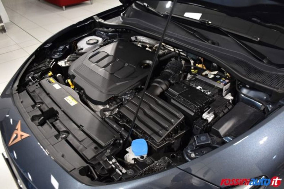 Cupra Leon Station Wagon Leon Sportstourer 2.0 tdi 4drive 150cv dsg (15)