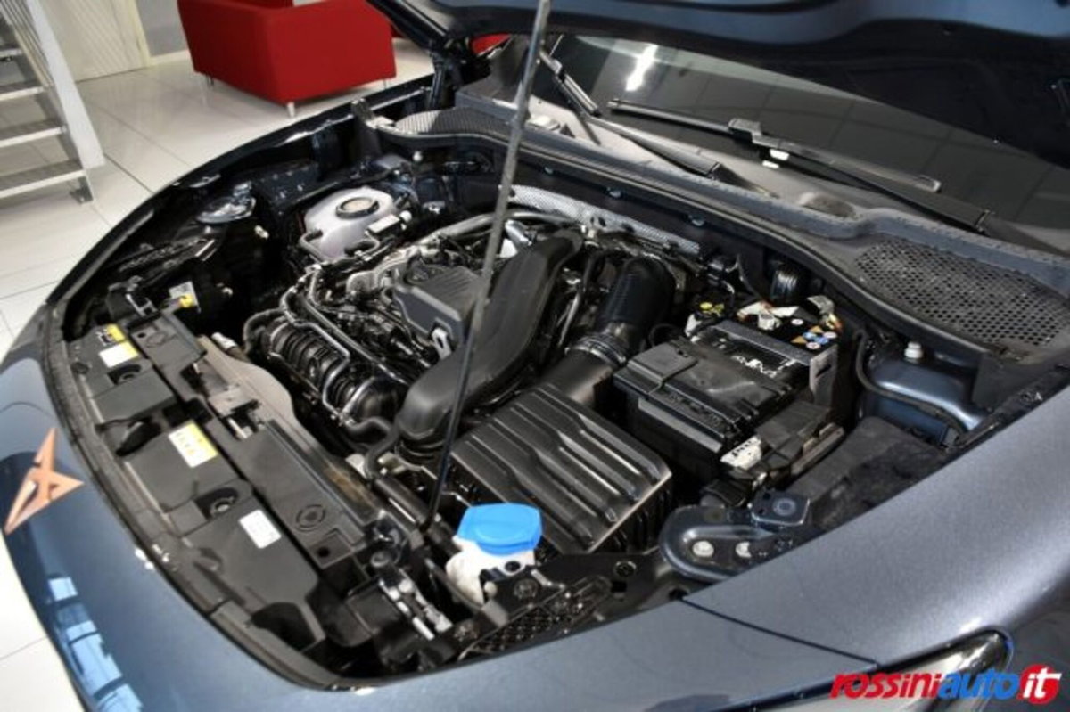 Cupra Formentor Formentor 1.5 TSI (15)