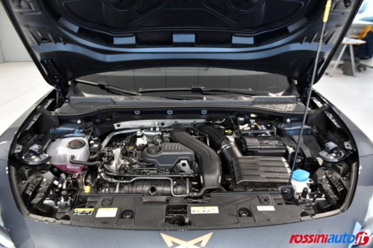 Cupra Formentor Formentor 1.5 TSI (17)