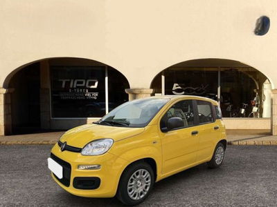 Fiat Panda 1.0 firefly hybrid s&s 70cv 5p.ti nuova