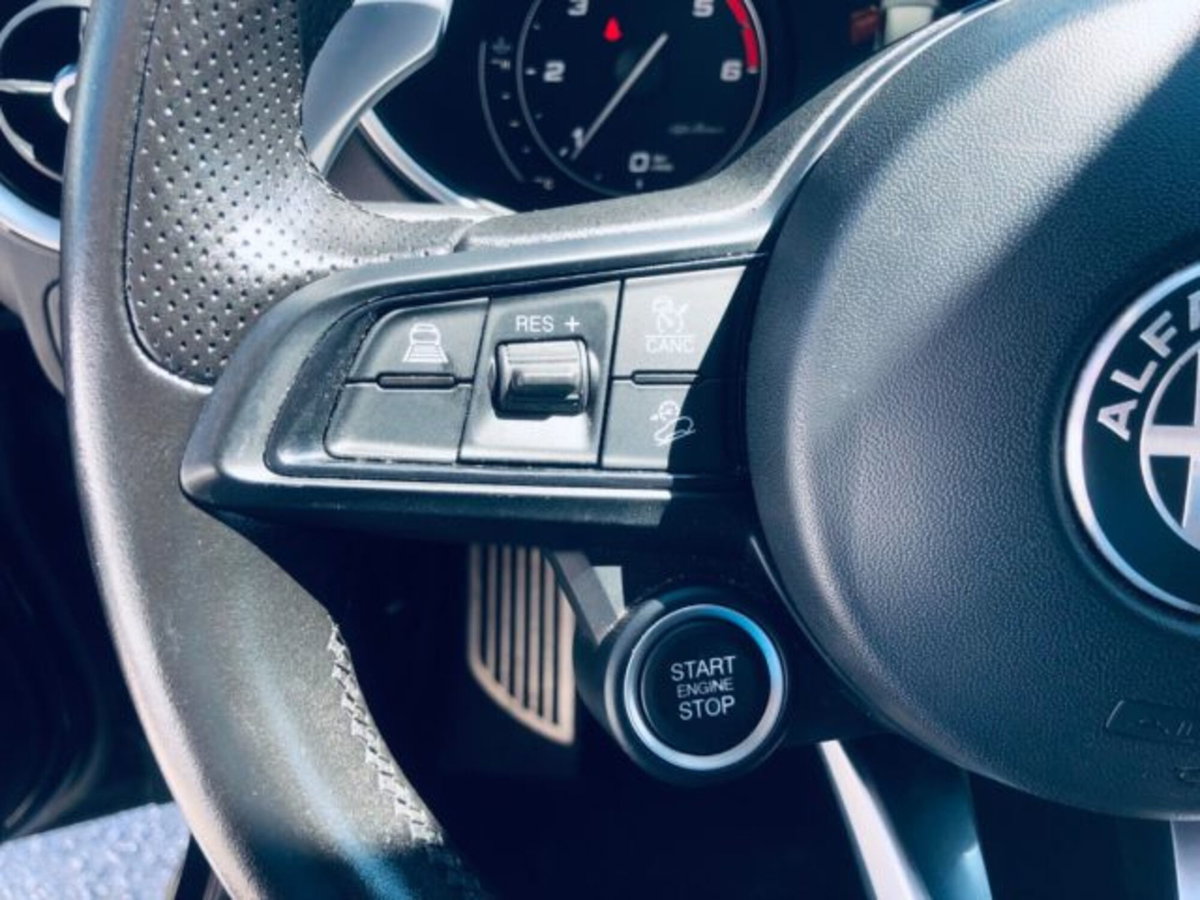 Alfa Romeo Stelvio Stelvio 2.2 Turbodiesel 190 CV AT8 Q4 Super Business (6)